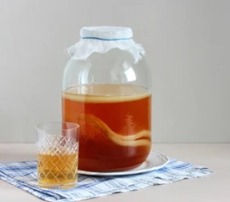 KOMBUCHA : L’ÉLIXIR DE LONGUE VIE 